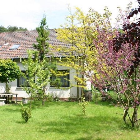 Pension Haus Zum Schlehenberg Bayreuth Exteriör bild
