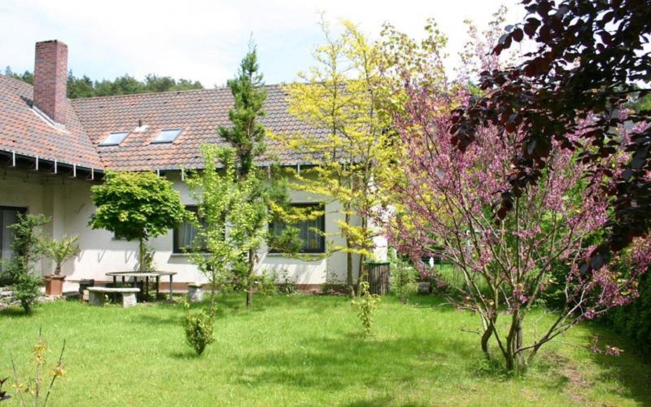 Pension Haus Zum Schlehenberg Bayreuth Exteriör bild